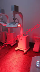 China BERUFShaut-Verjüngungs-Schönheits-Lampen-Maschine lED-Licht-PDT fournisseur